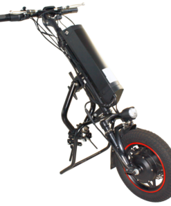 Motorised Trike