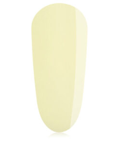 Sorbet BIAB