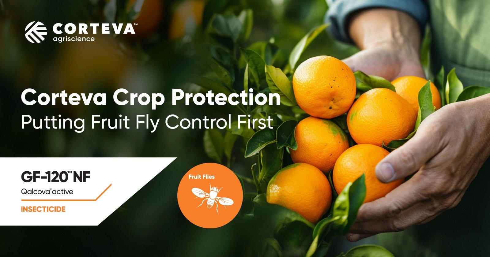 Insecticide Coragen