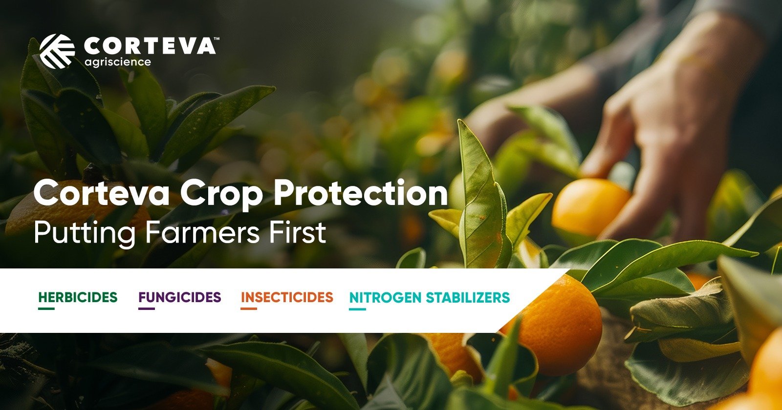Insecticide Coragen