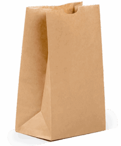 Medium Plain Paper Bag