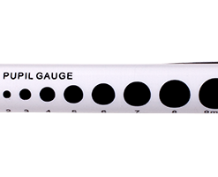 Semi Disposable Pupil Torch