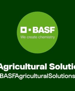 Insecticide Basagran
