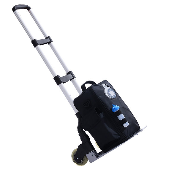 Portable Oxygen Concentrator – LoveGo LG102P - Image 3