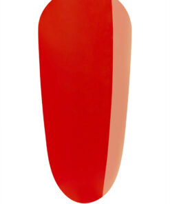Ugly Duckling Premium Ombré II brush
