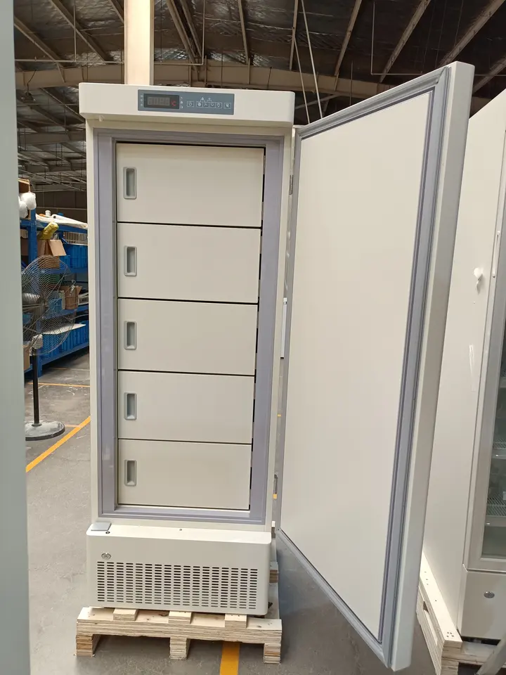Laboratory Pharmacy Freezer -25°C 270L - Image 2