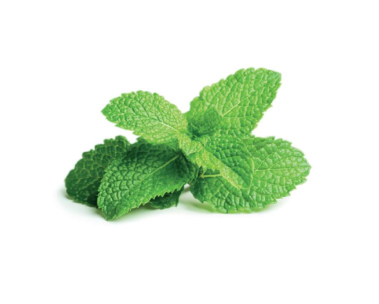 Peppermint essential oil 10ml