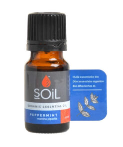 Oily Skin Correction Gel