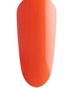 Lancets 21G (Box of 100)