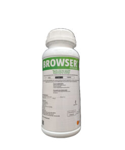 Browser 1L
