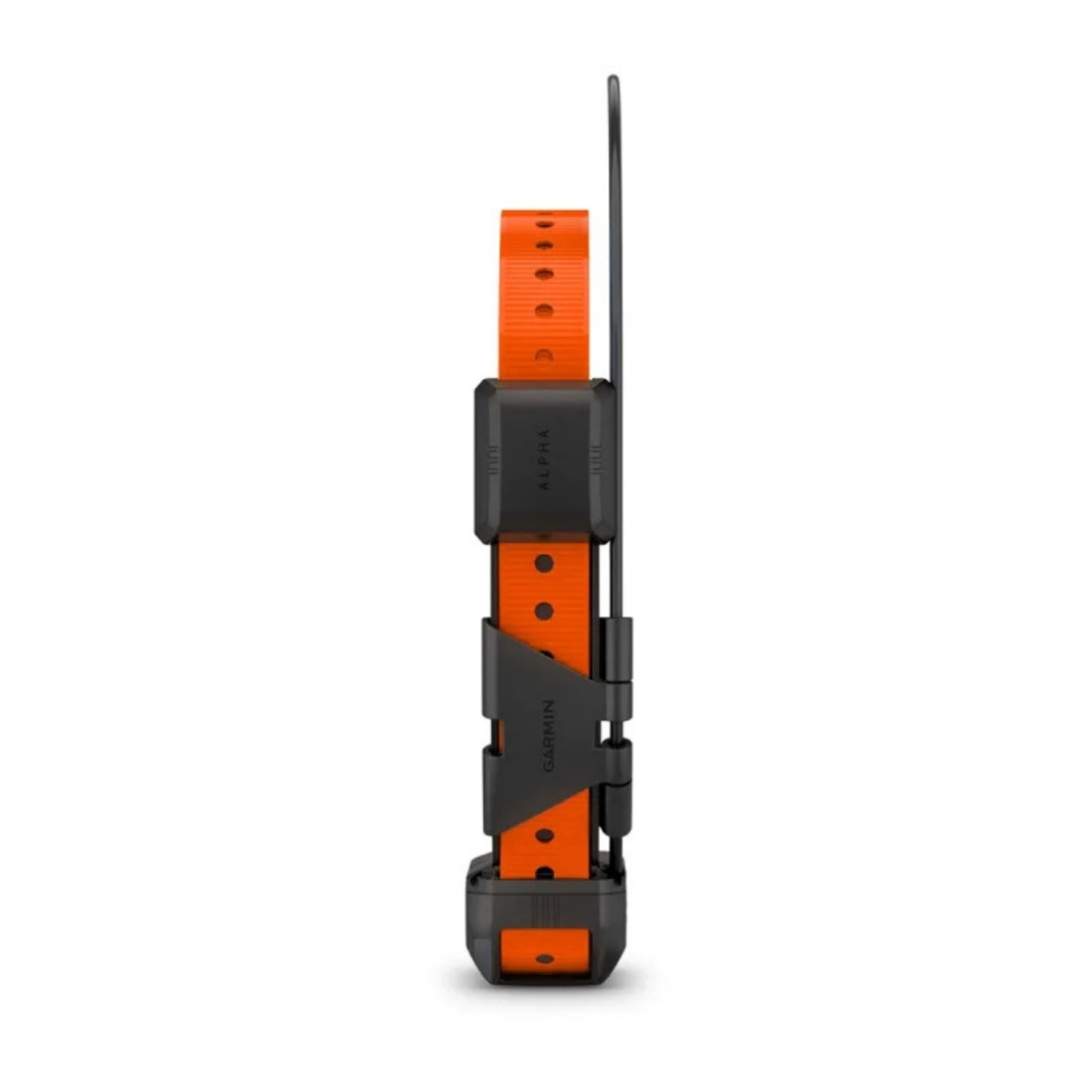 Alpha® Tt 25 Dog Collar - Image 2