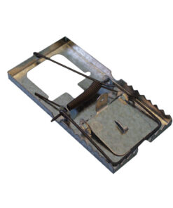 Mouse Trap